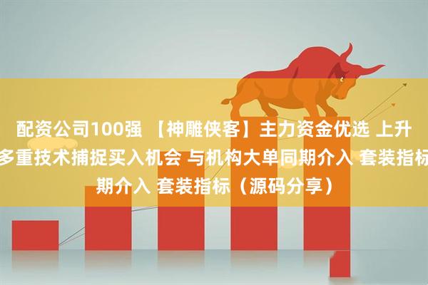 配资公司100强 【神雕侠客】主力资金优选 上升通道 起爆点 多重技术捕捉买入机会 与机构大单同期介入 套装指标(源码分享)