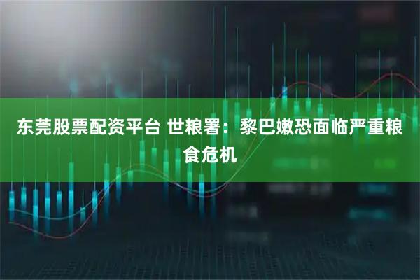 东莞股票配资平台 世粮署：黎巴嫩恐面临严重粮食危机